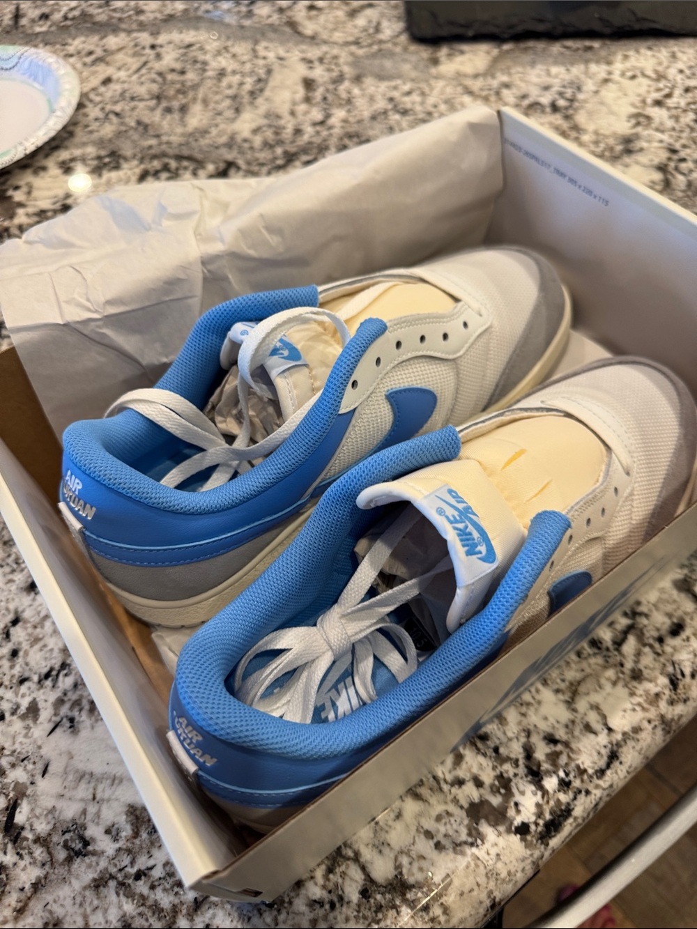 Nike Air Jordan Skyline Low Sneakers- White and Light Blue
